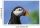 Close up of Atlantic Puffin at Ile aux Perroquets Wall Mural