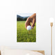 Golfer sets up a ball on the tee of a golf course on a summer evening Wall Mural