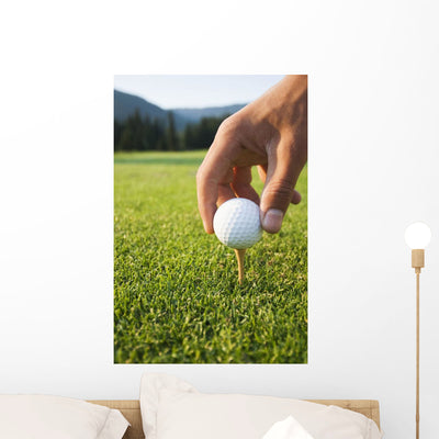 Golfer Sets up Ball Wall Mural shown on a wall