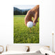 Golfer sets up a ball on the tee of a golf course on a summer evening Wall Mural