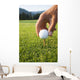 Golfer sets up a ball on the tee of a golf course on a summer evening Wall Mural