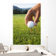 Golfer sets up a ball on the tee of a golf course on a summer evening Wall Mural