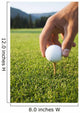 Golfer sets up a ball on the tee of a golf course on a summer evening Wall Mural