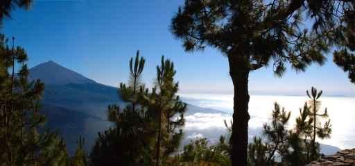 Overview Teide Wall Decal