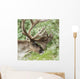 Portrait of a Caribou in Denali National Park, Interior Alaska, Summer Wall Mural