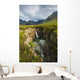 Waterfall Wall Mural