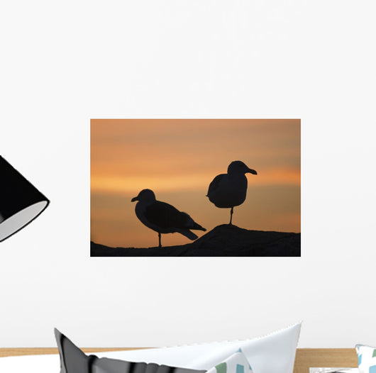Gulls silhouetted against the orange sky Wall Mural
