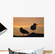 Gulls silhouetted against the orange sky Wall Mural