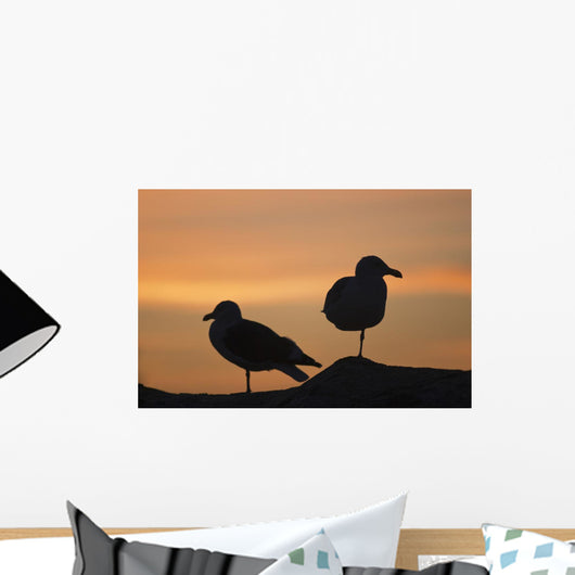 Gulls silhouetted against the orange sky Wall Mural