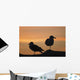 Gulls silhouetted against the orange sky Wall Mural