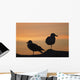 Gulls silhouetted against the orange sky Wall Mural