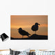 Gulls silhouetted against the orange sky Wall Mural