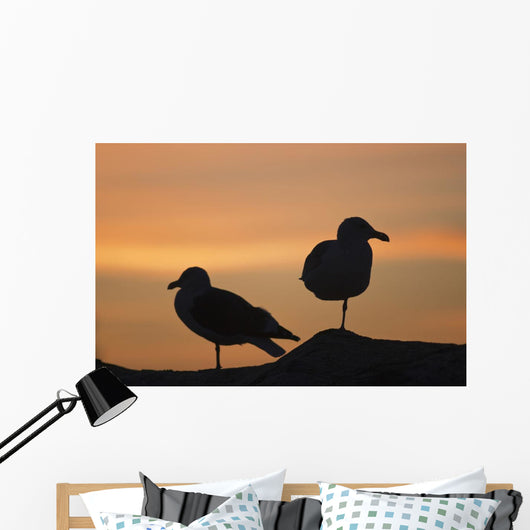 Gulls silhouetted against the orange sky Wall Mural
