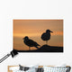 Gulls silhouetted against the orange sky Wall Mural