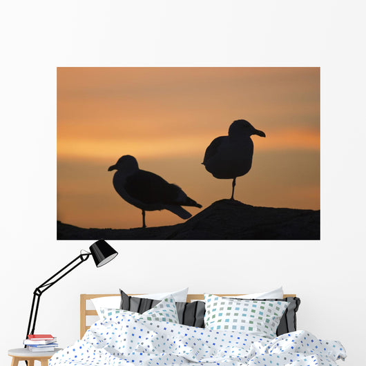 Gulls silhouetted against the orange sky Wall Mural