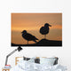 Gulls silhouetted against the orange sky Wall Mural