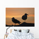 Gulls silhouetted against the orange sky Wall Mural