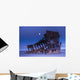 The moon sets over the wreck of the Peter Iredale Wall Mural