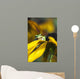 A Pacific Treefrog looks for flies on Black-eyed Susan blossoms Wall Mural