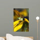 A Pacific Treefrog looks for flies on Black-eyed Susan blossoms Wall Mural