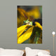 A Pacific Treefrog looks for flies on Black-eyed Susan blossoms Wall Mural