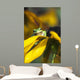 A Pacific Treefrog looks for flies on Black-eyed Susan blossoms Wall Mural
