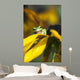 A Pacific Treefrog looks for flies on Black-eyed Susan blossoms Wall Mural