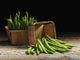 Green beans in baskets Wall Mural