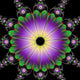 Floral Roundel in Green and Purple Wall Mural
