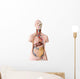 Human Anatomy Mannequin Wall Decal