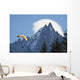 Paraglider above Chamonix-Mont Blanc valley Wall Mural