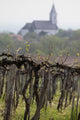 Vineyards and Village Church