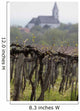 Vineyards and Village Church