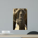 Face Dlphant Elephant Front
