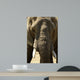 Face Dlphant Elephant Front