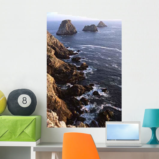 Tas Pois Has Camaret Wall Decal