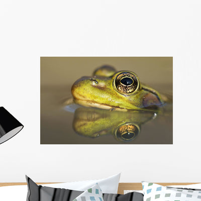 Close-up Green Frog Partially Wall Mural shown on a wall