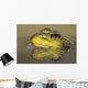 Close-up of green frog partially submerged in water Wall Mural