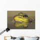 Close-up of green frog partially submerged in water Wall Mural