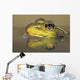 Close-up of green frog partially submerged in water Wall Mural