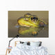 Close-up of green frog partially submerged in water Wall Mural