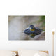 Close-up of American bullfrog partially submerged in water Wall Mural