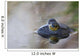 Close-up of American bullfrog partially submerged in water Wall Mural