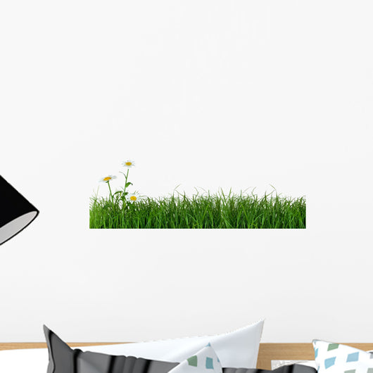 Green Grass and Daisy Wall Decal