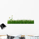 Green Grass and Daisy Wall Decal