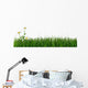 Green Grass and Daisy Wall Decal