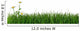 Green Grass and Daisy Wall Decal