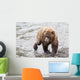 Grizzly bear fishing for sockeye salmon at Brooks Falls Wall Mural