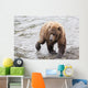 Grizzly bear fishing for sockeye salmon at Brooks Falls Wall Mural