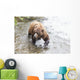 Grizzly bear fishing for sockeye salmon at Brooks Falls Wall Mural